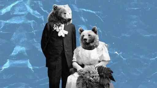 L’Ours et La Demande en mariage