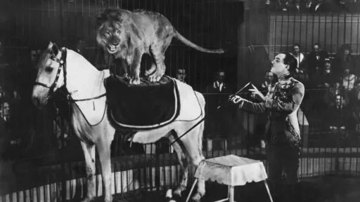 Ciné Concert Max Linder